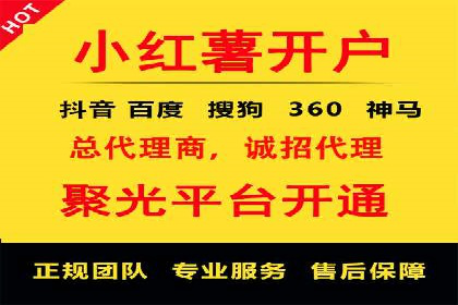 竞价排名在搜索引擎营销中的运用案例